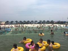 -秦皇岛乐岛海洋王国