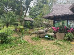 -海南热带野生动植物园