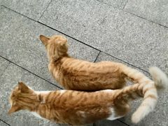 -福州开元寺