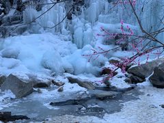 -黑龙潭风景区