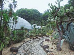 -深圳仙湖植物园