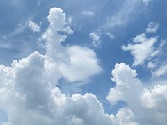 -水濂山森林公园