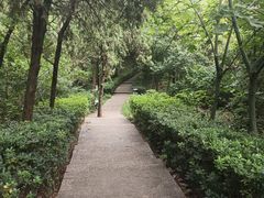-云龙山