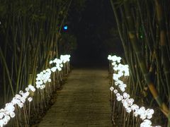 -福建鲤鱼洲酒店