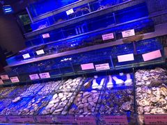 -青蓬蒸汽海鲜·深圳老字号·团建聚会(壹方城店)