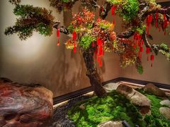 -湘上湘(米其林餐厅-正大中心总店)