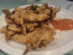-邵年鸽(杨庄店)