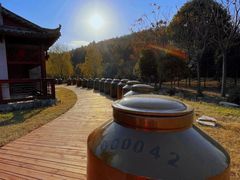 -黄陂区野村谷景区
