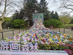 -上海共青森林公园