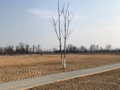 -汉长安城未央宫国家考古遗址公园