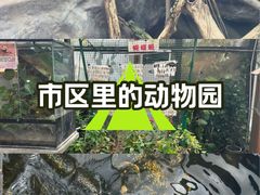 -上海大自然野生昆虫馆(东方明珠·爬宠昆虫探索中心)