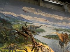 -自贡恐龙博物馆