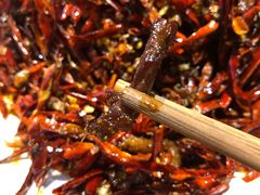 -小眼睛餐饮&杨杨夜宵