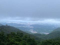 -梧桐山风景名胜区