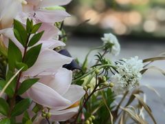 -花到家(富贵鸟花艺行)