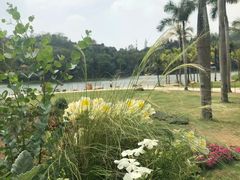 -深圳仙湖植物园