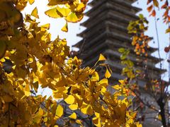 -北京石刻艺术博物馆(五塔寺)