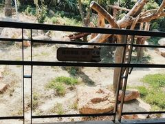 -宁波野生动物园