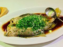 -西郊5号·Maggie 5