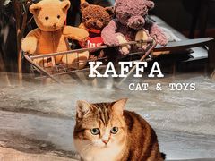 -咖法森林·咖啡  酒吧(天河店)