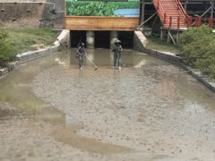 -北海金海湾红树林生态旅游区