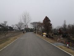 -大塘金香草谷