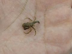 -北海金海湾红树林生态旅游区