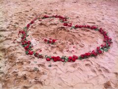 iphone_upload_pic-青岛第二海水浴场