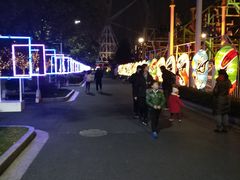 -锦江乐园舞狸花花游园会(夜场专享)