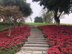 -重庆市江北嘴中央商务区中央公园