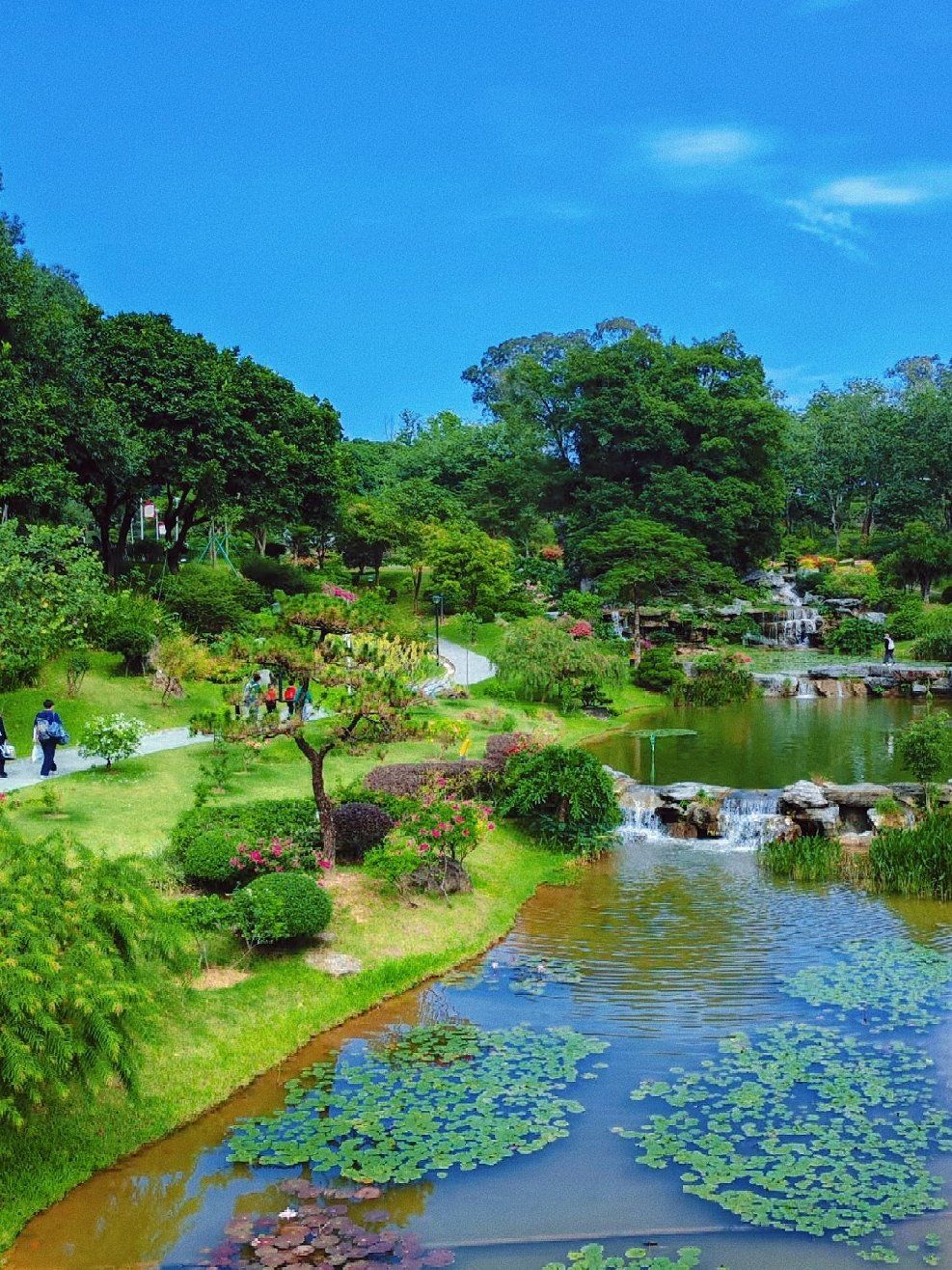 植物天堂太大了,又没走遍,亲子二刷东莞植物园