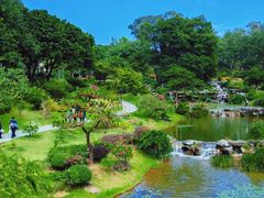 -东莞植物园