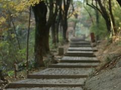 -穹窿山景区