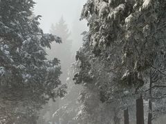 -武当山风景区