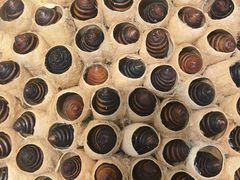 -王婆炒鱼(总店)