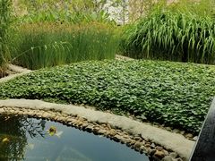 -活水公园