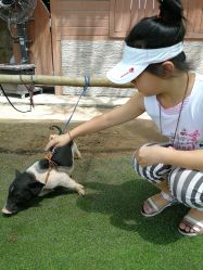 -上美四季动物农场