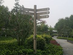 -大兴滨河森林公园