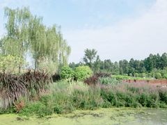 -天府芙蓉园