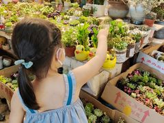-双季花艺园艺市场(浦东店)