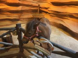 -酷嗒动物文化乐园(cutezoo西溪乐天城店)