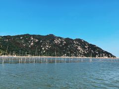 -北岐滩涂
