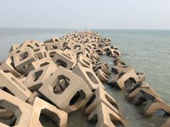 -东疆建设开发纪念公园