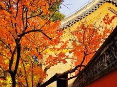 -潭柘寺景区
