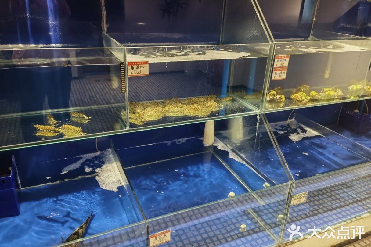 这口羊肉香死我了😍