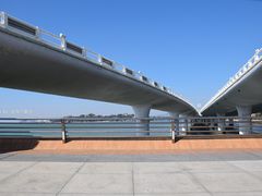 -演武大桥观景平台