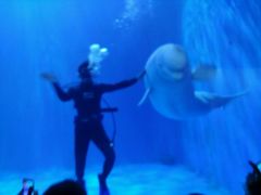 -多彩贵州城极地海洋世界