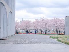 -龙美术馆(西岸馆)