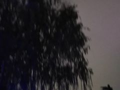 -金星公园