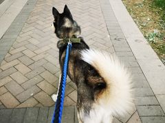 -芭比堂动物医院·犬猫全科·异宠专科(雁塔分院)